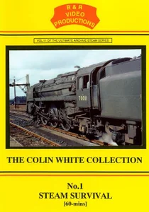 B & R No.11 DVD No.1 Steam Survival